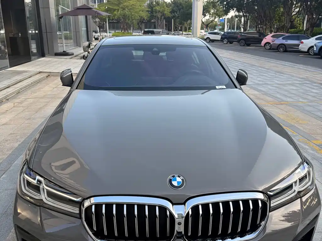 BMW 5 Series (Import) — фото 9