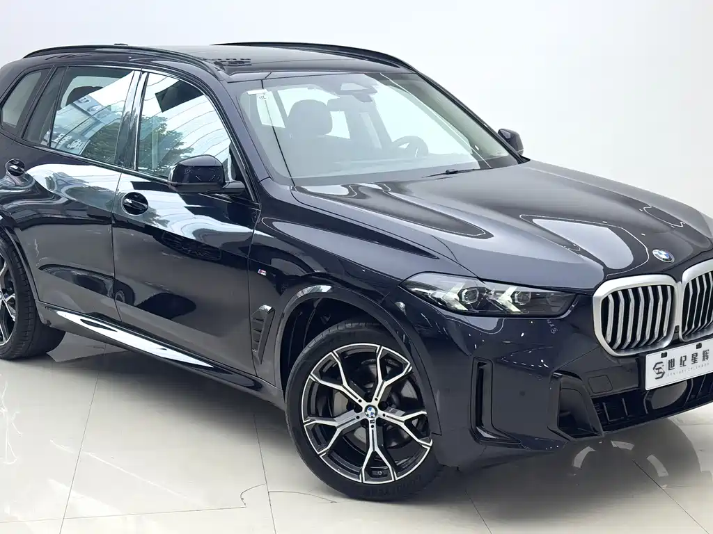 BMW X5 — фото 4