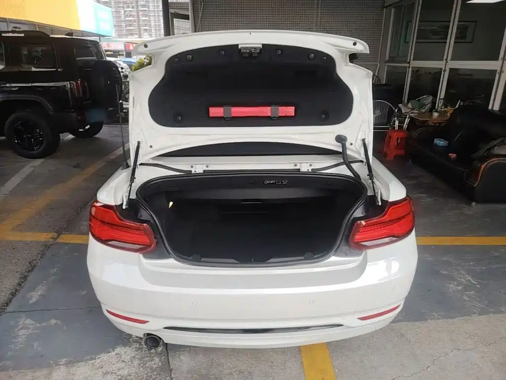 BMW 2 Series (Import) — фото 19