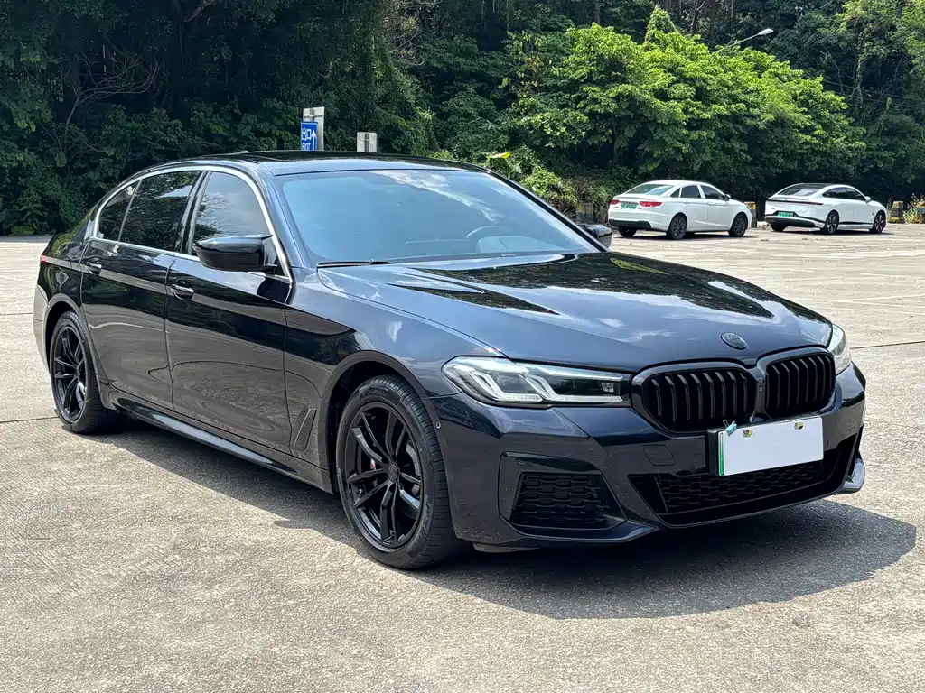 BMW 5 Series New Energy — фото 3