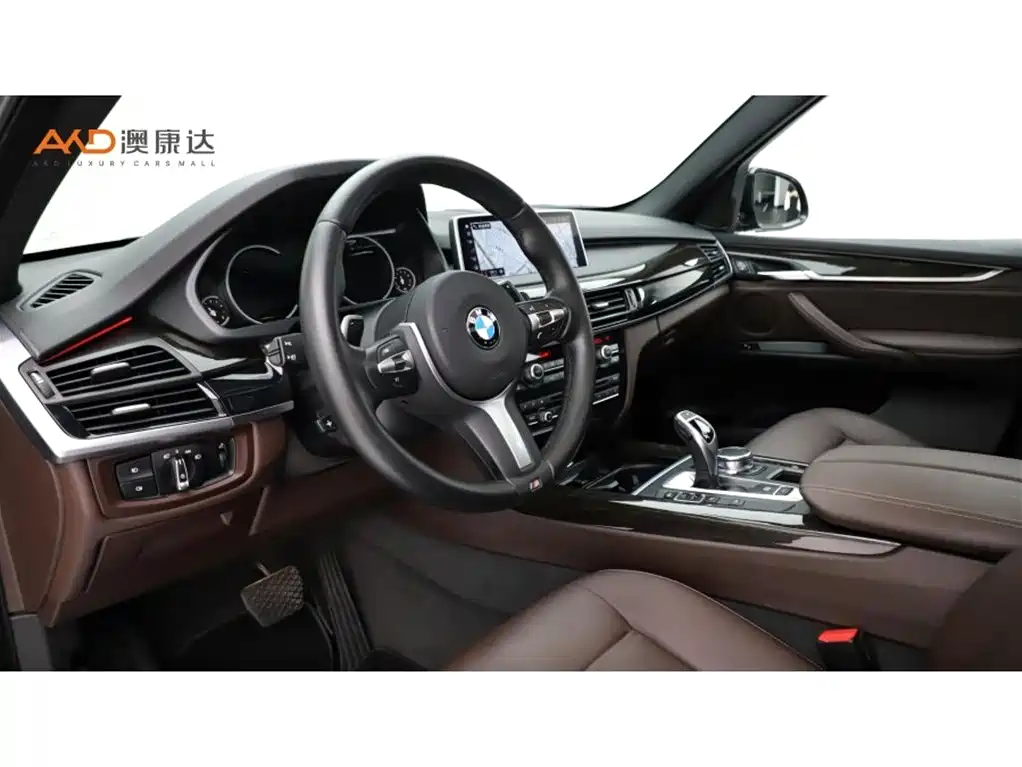 BMW X5 (Import) — фото 6