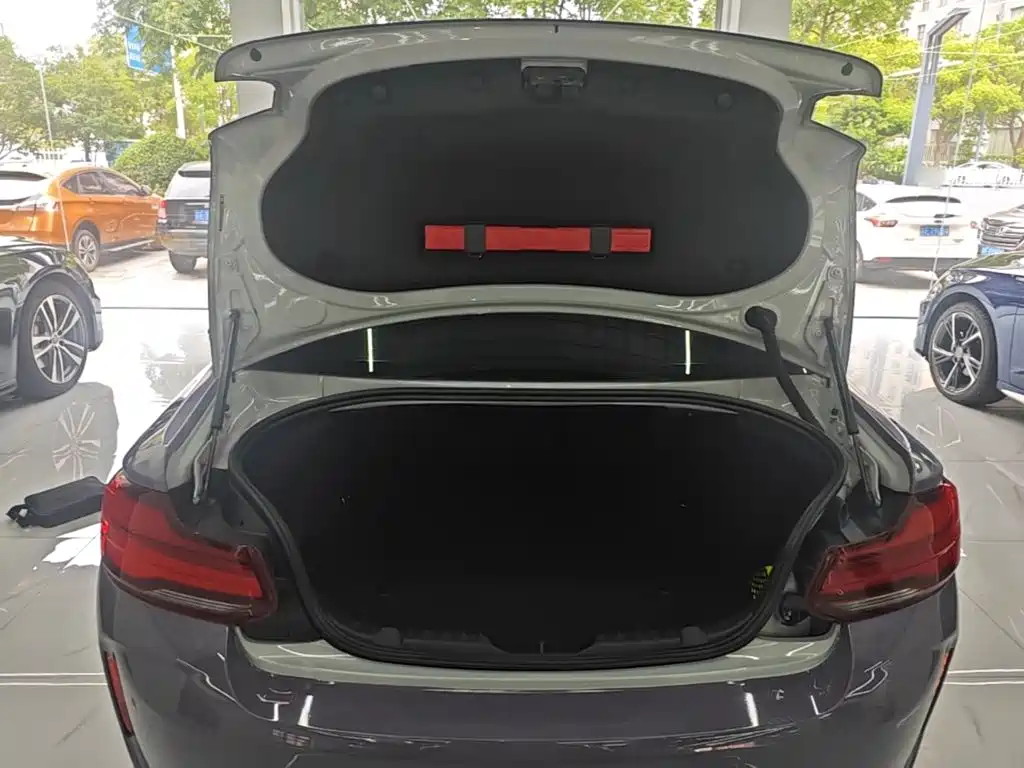 BMW M2 — фото 19
