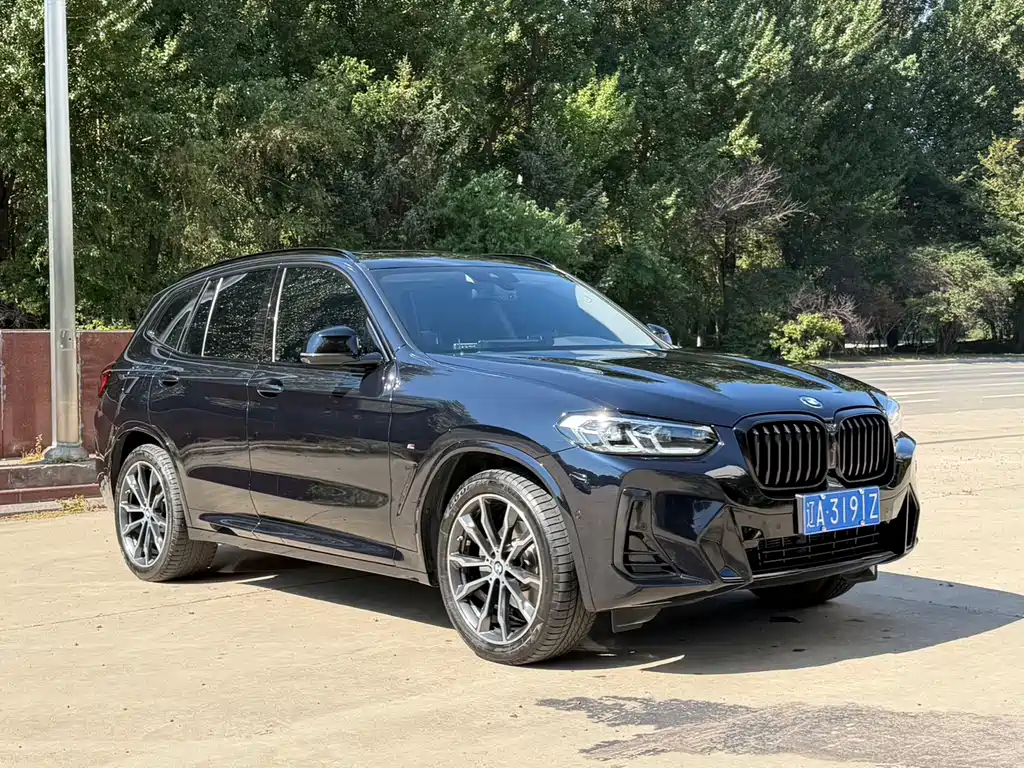 BMW X3 — фото 2