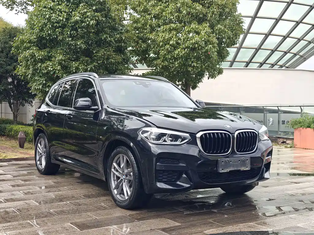 BMW X3 — фото 3