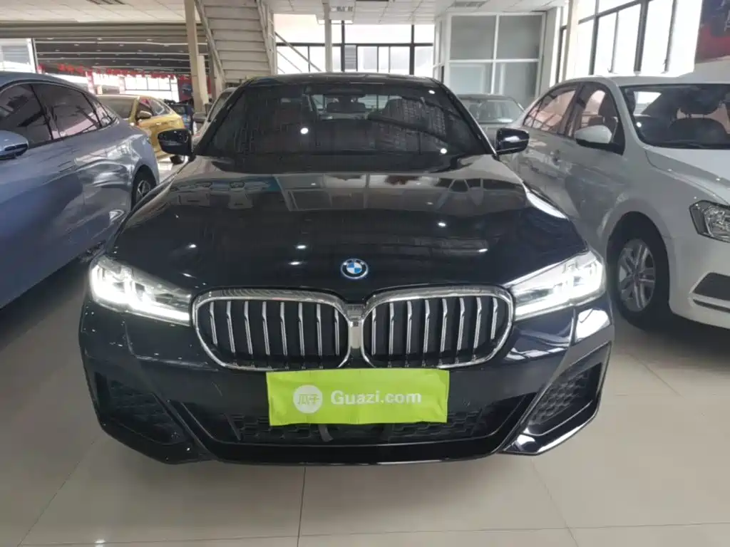 BMW 5 Series New Energy — фото 3