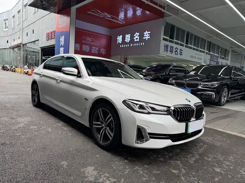BMW 5 Series New Energy — фото 3