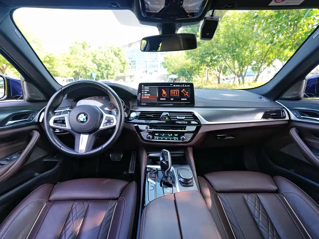 BMW 5 Series (Import) — фото 8