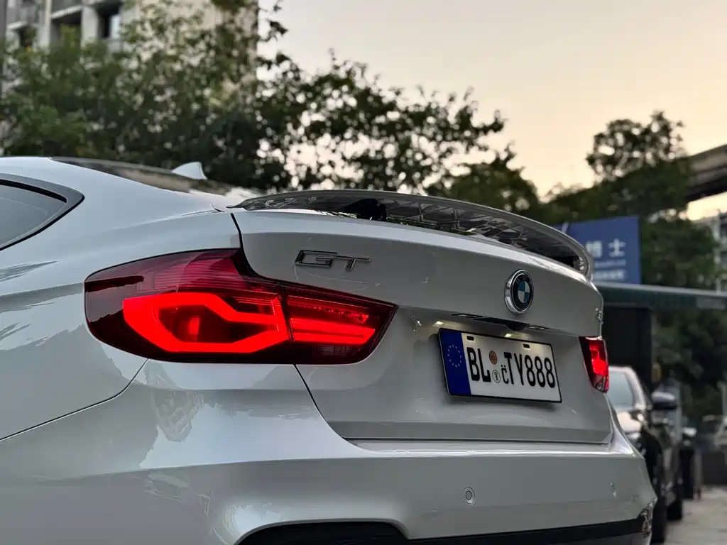 BMW 3 Series GT — фото 33