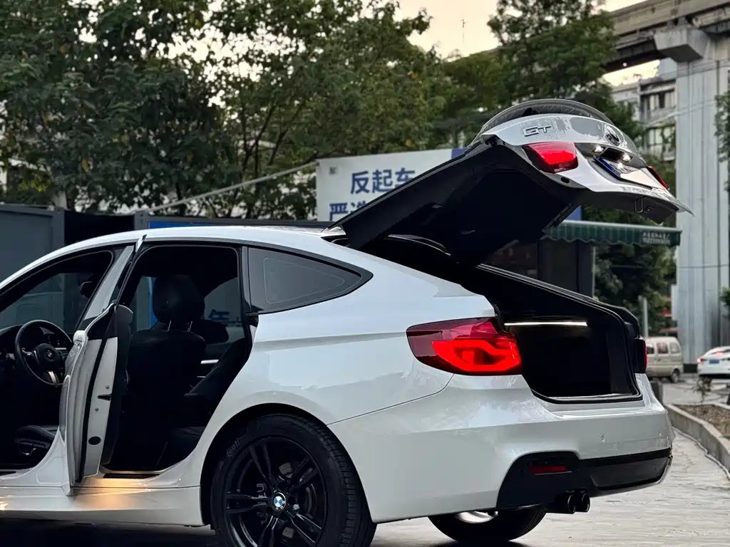 BMW 3 Series GT — фото 34