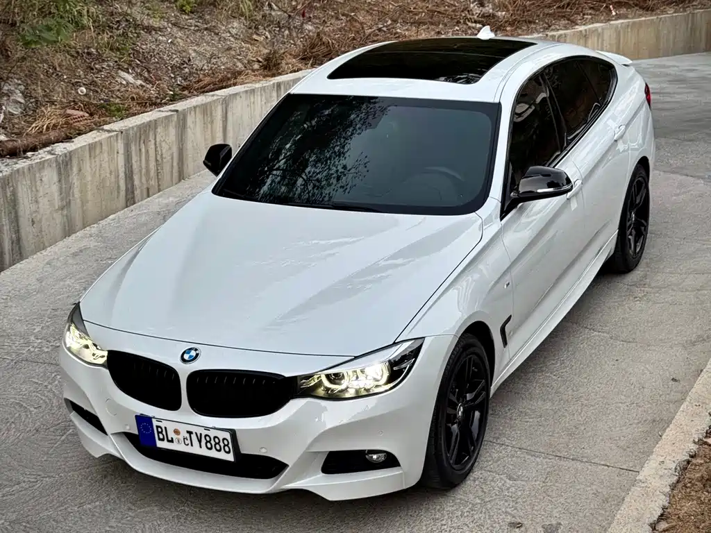 BMW 3 Series GT — фото 36