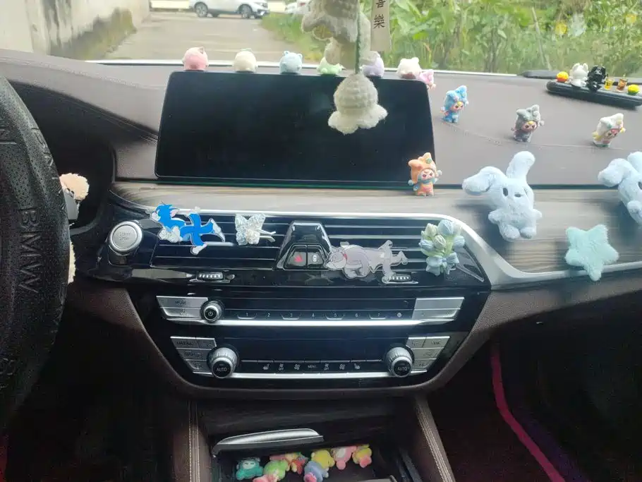 BMW 5 Series New Energy — фото 13