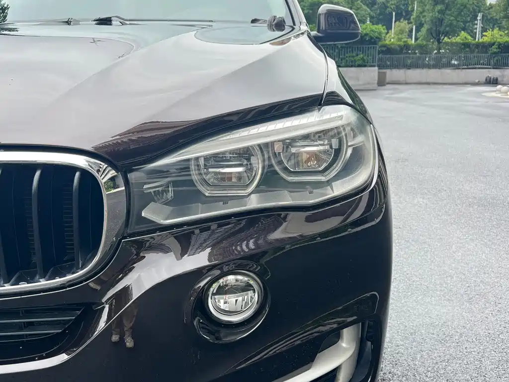 BMW X5 (Import) — фото 9
