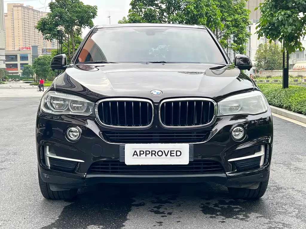 BMW X5 (Import) — фото 2