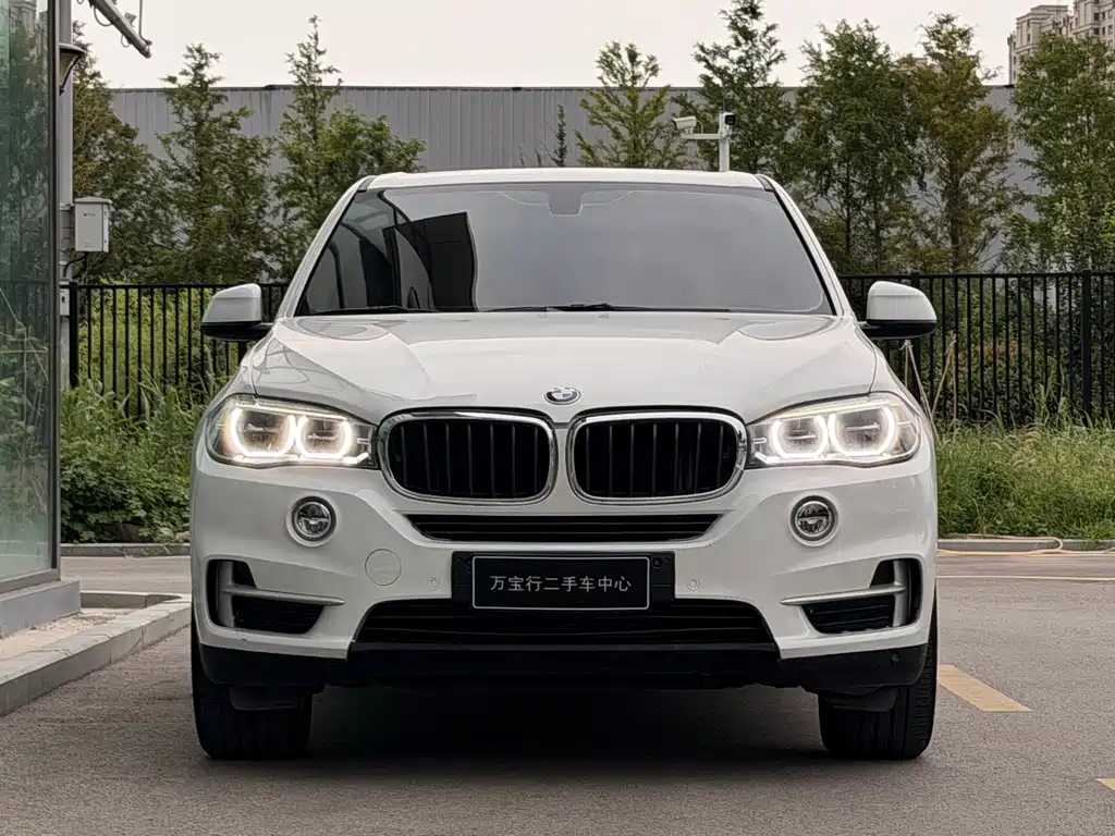 BMW X5 (Import) — фото 4