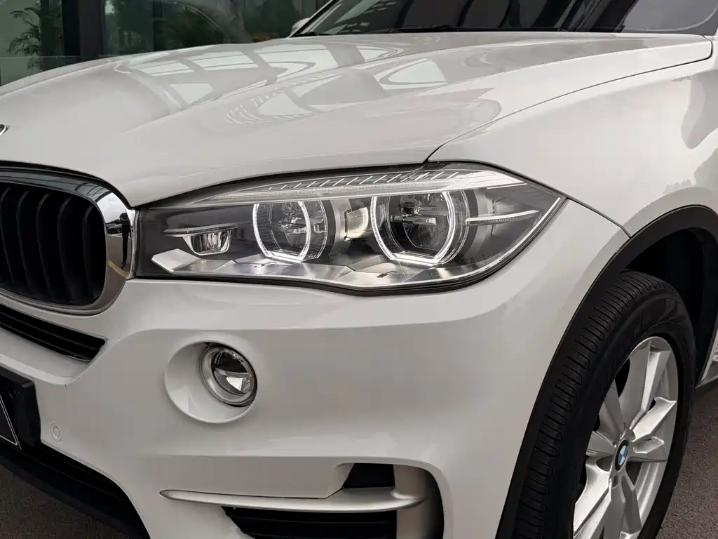 BMW X5 (Import) — фото 6