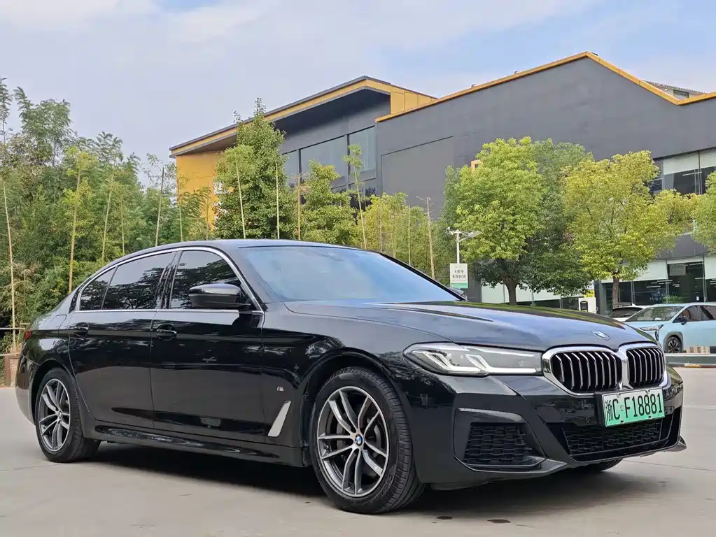 BMW 5 Series New Energy — фото 2