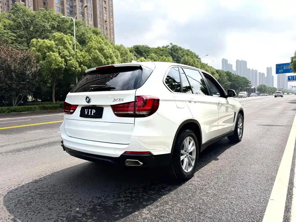 BMW X5 (Import) — фото 9