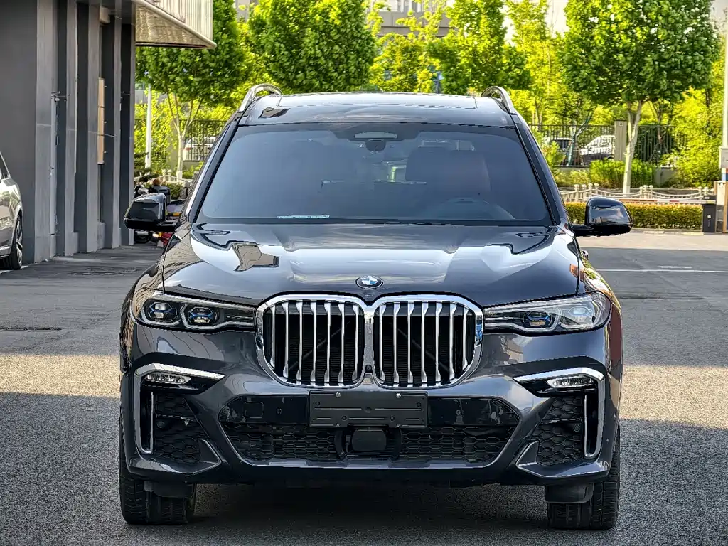 BMW X7 — фото 2