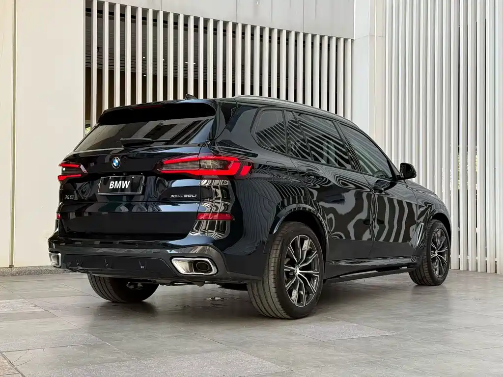 BMW X5 — фото 9