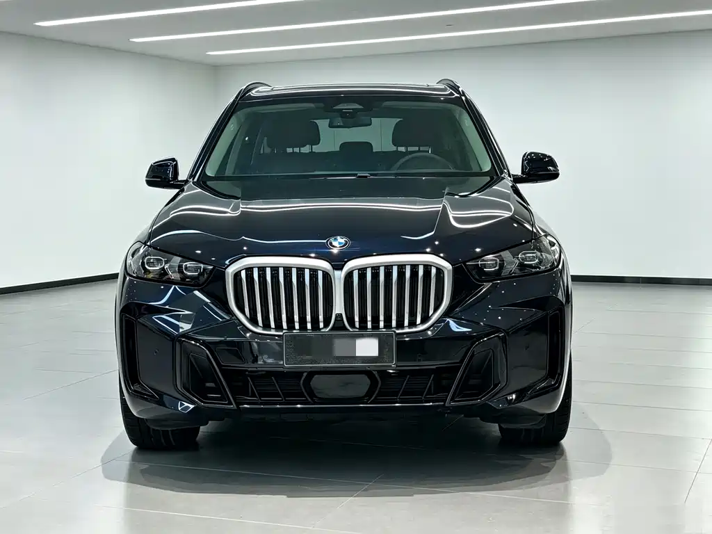 BMW X5 — фото 2