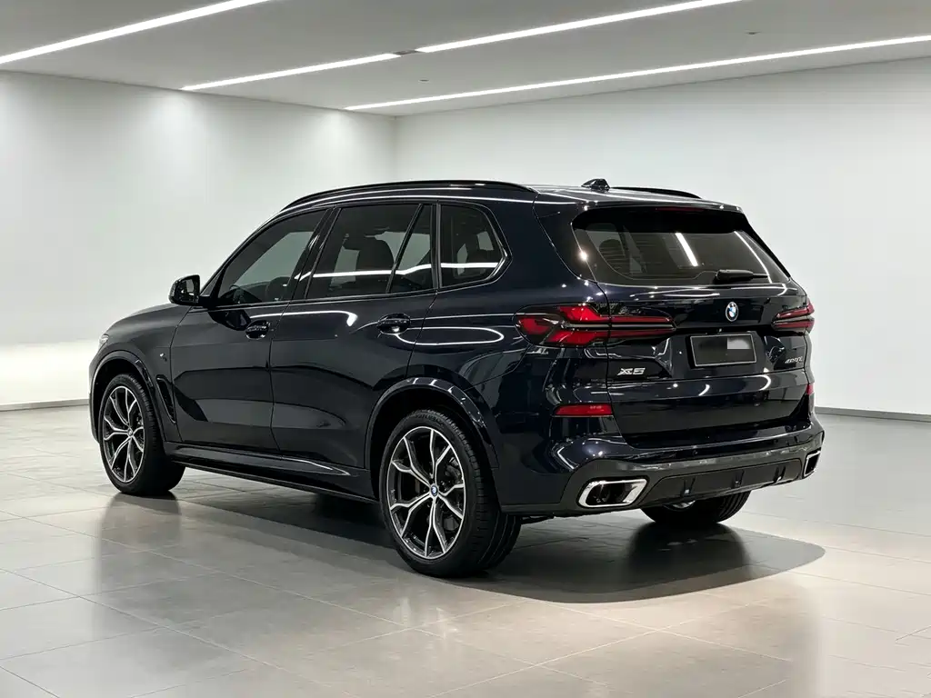 BMW X5 — фото 18