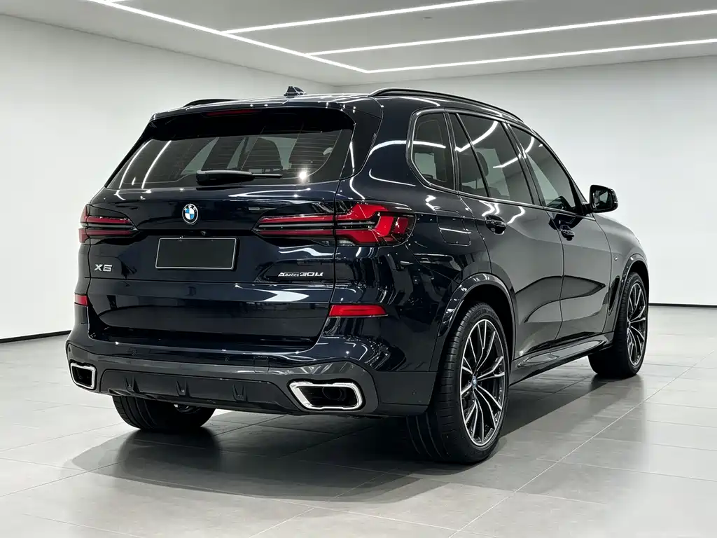 BMW X5 — фото 19