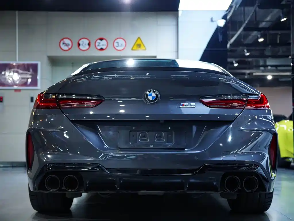 BMW M8 — фото 21