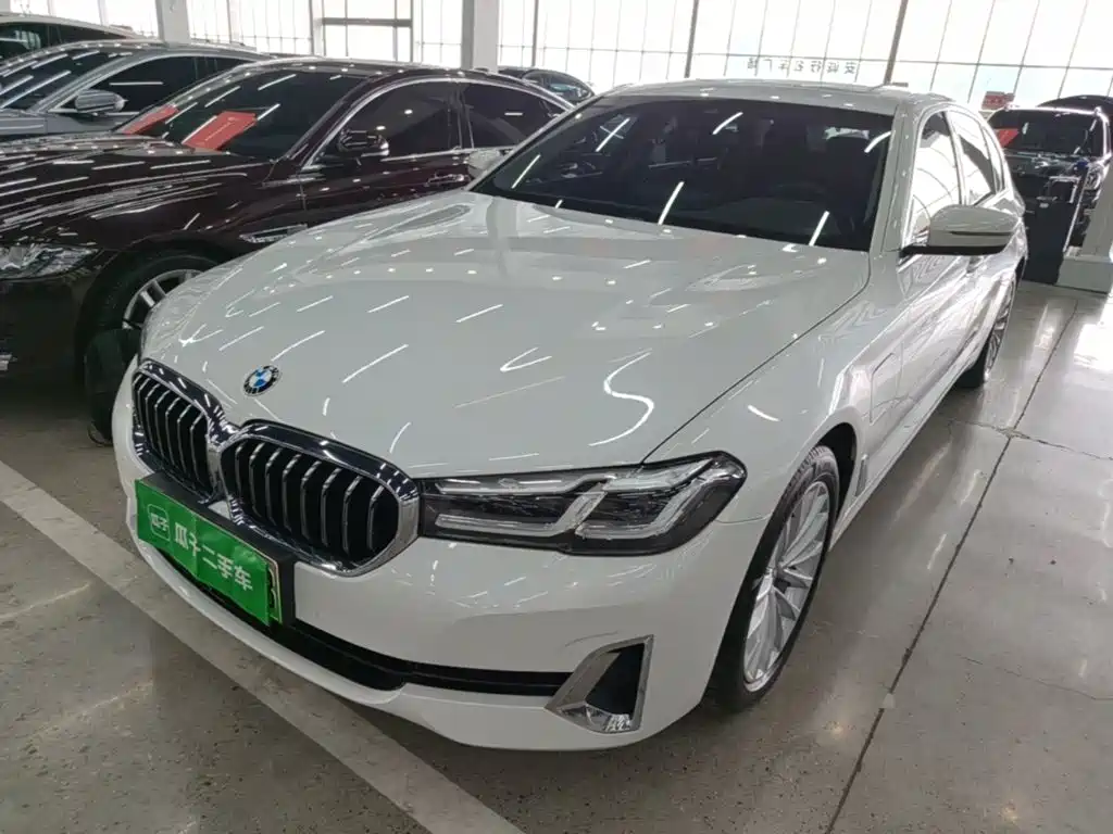 BMW 5 Series New Energy — фото 2
