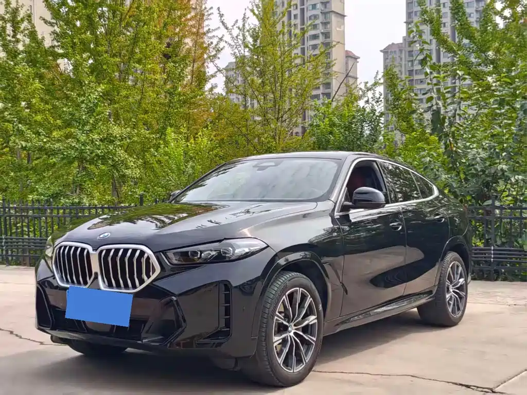 BMW X6 — фото 2