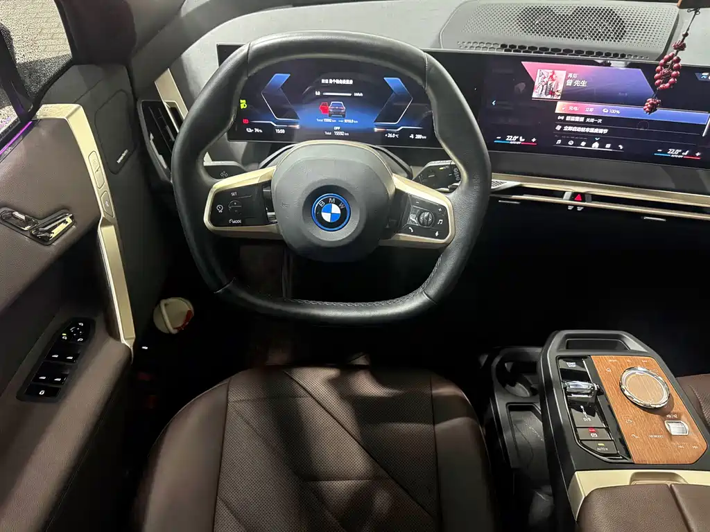 BMW iX — фото 10