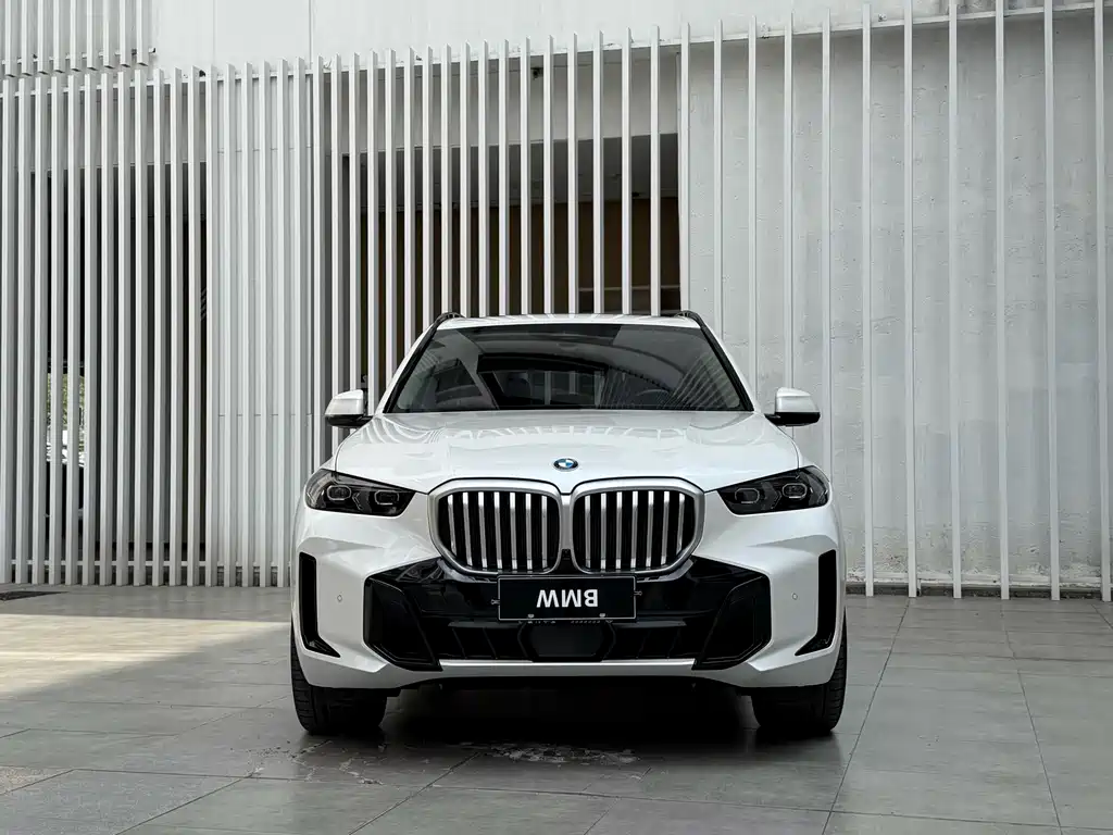 BMW X5 — фото 2