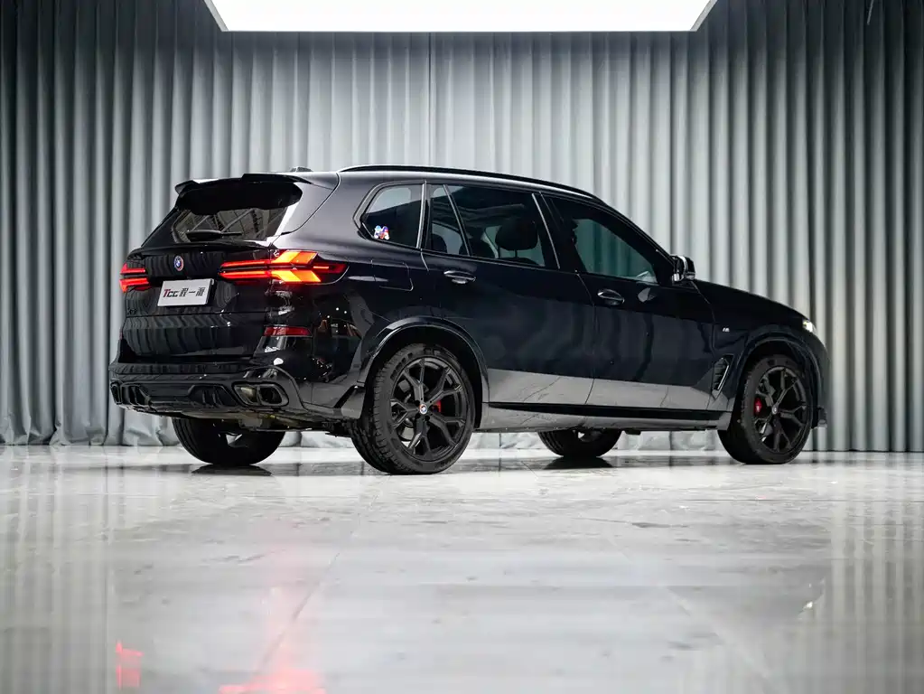BMW X5 — фото 10