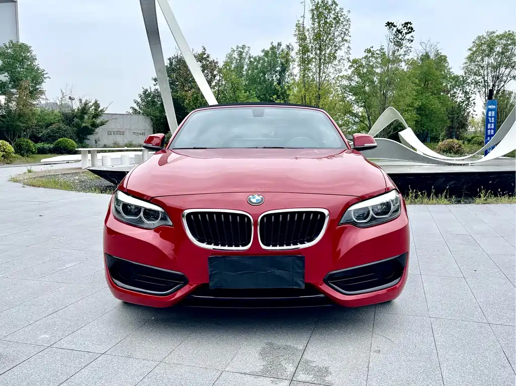 BMW 2 Series (Import) — фото 2