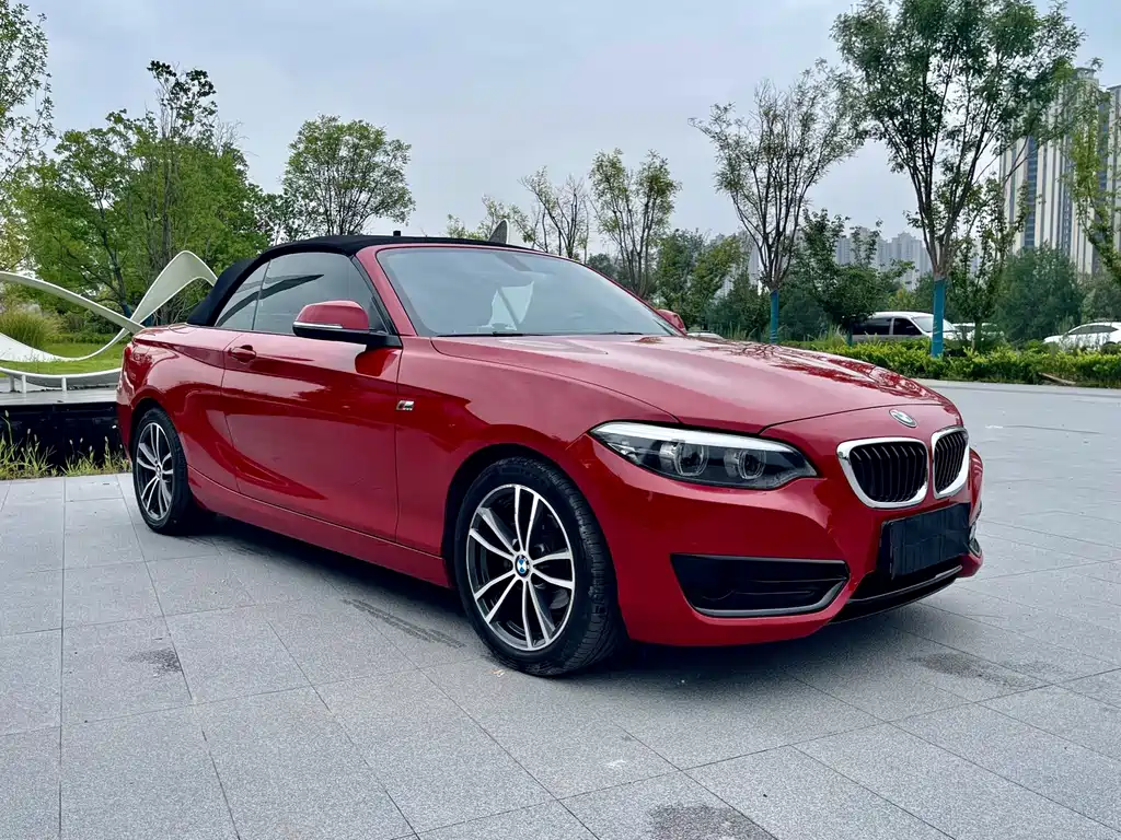 BMW 2 Series (Import) — фото 3