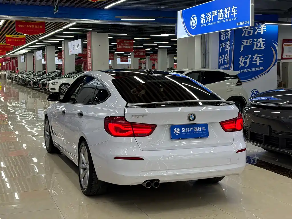 BMW 3 Series GT — фото 10