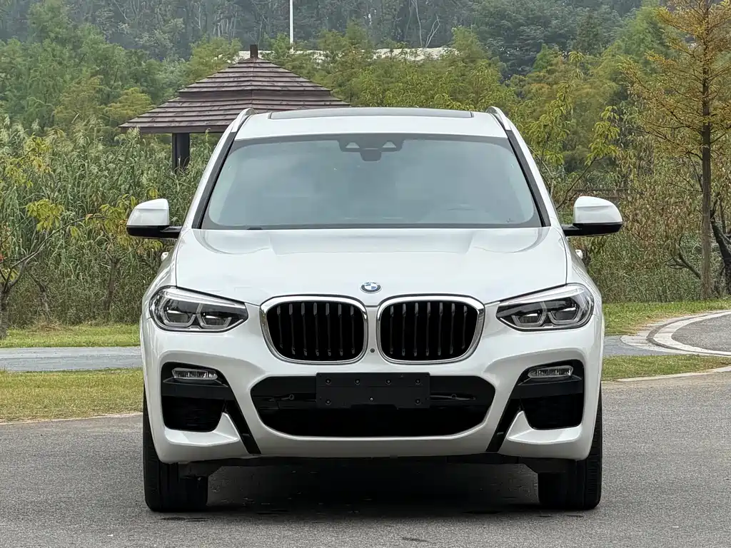 BMW X3 — фото 2