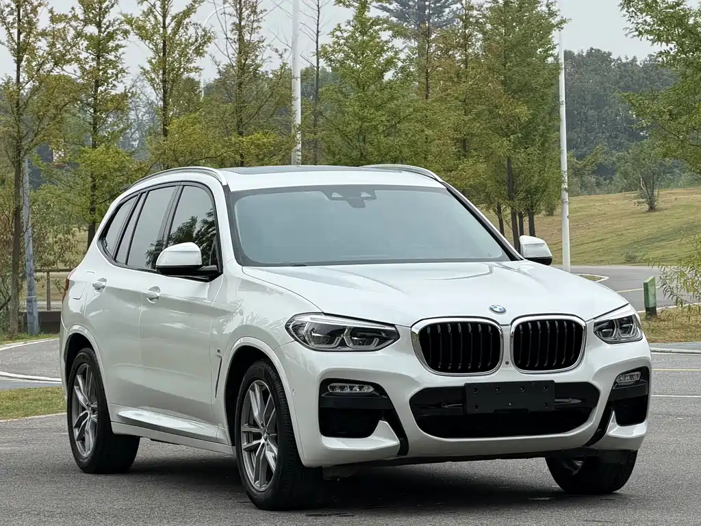 BMW X3 — фото 3