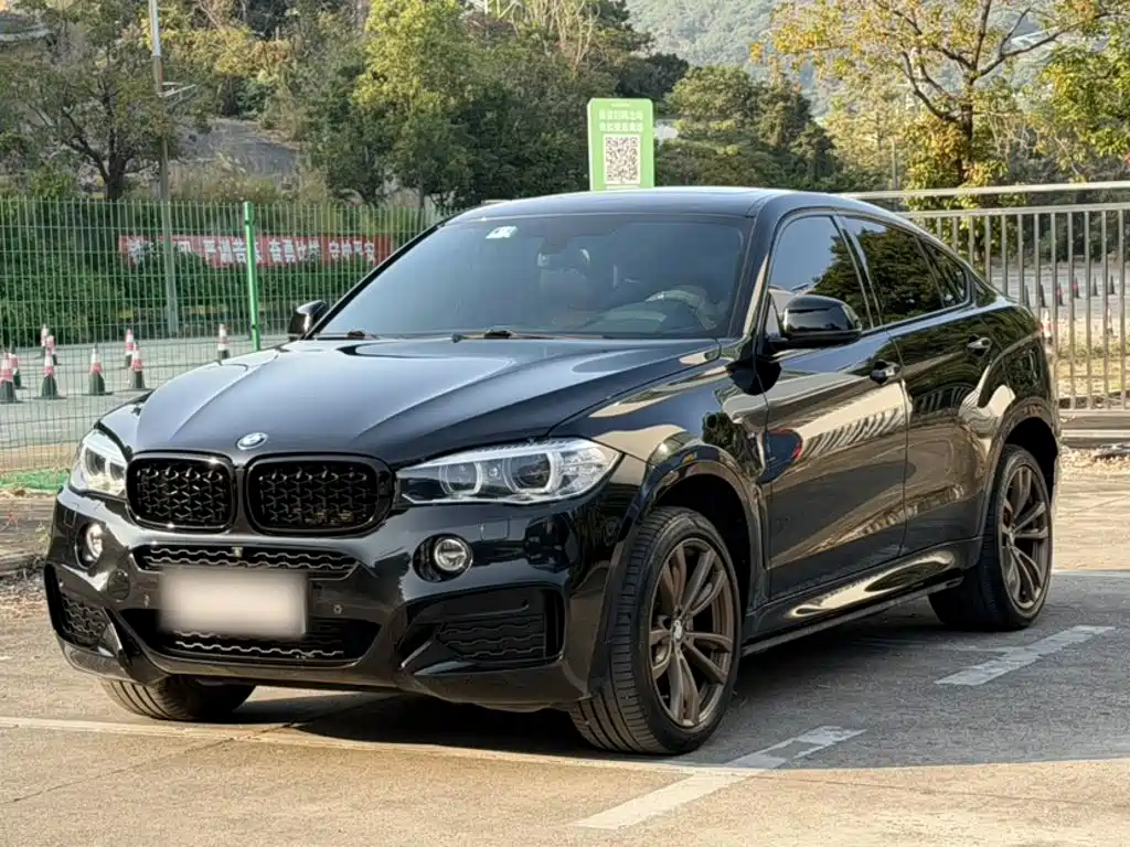 BMW X6 — фото 2