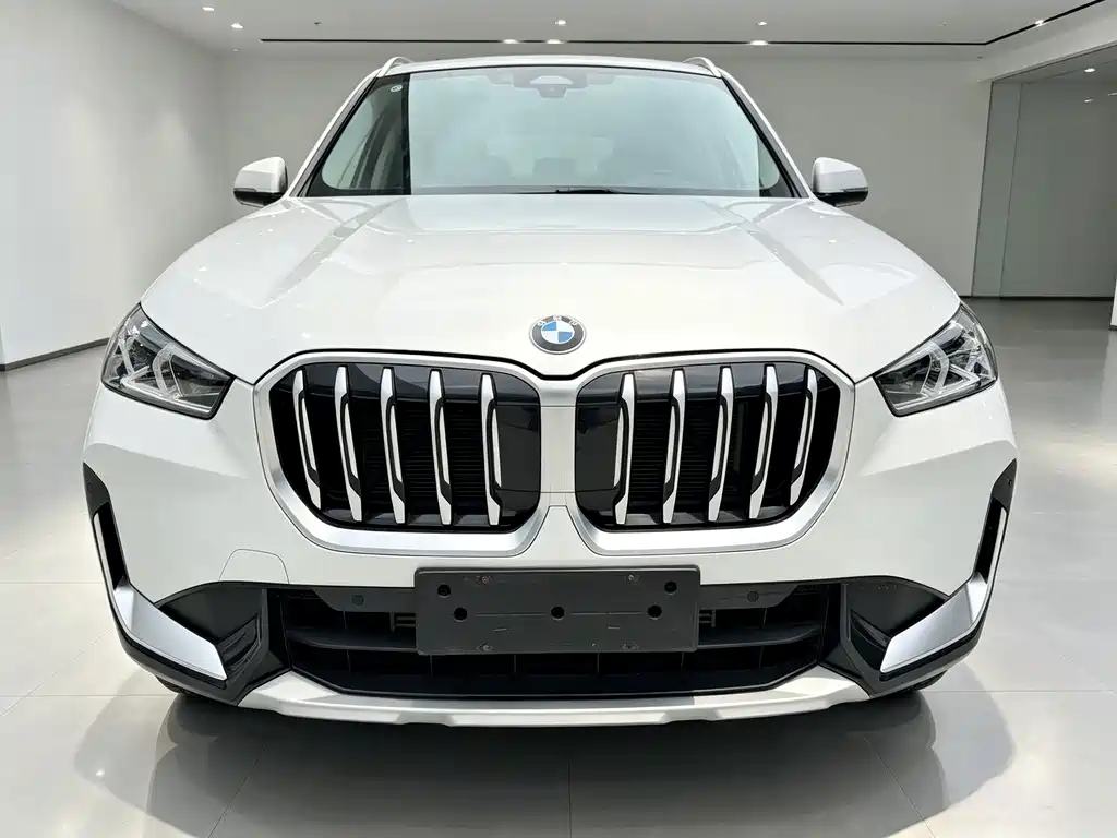 BMW X1 — фото 2