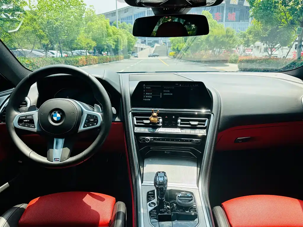 BMW 8 Series — фото 10