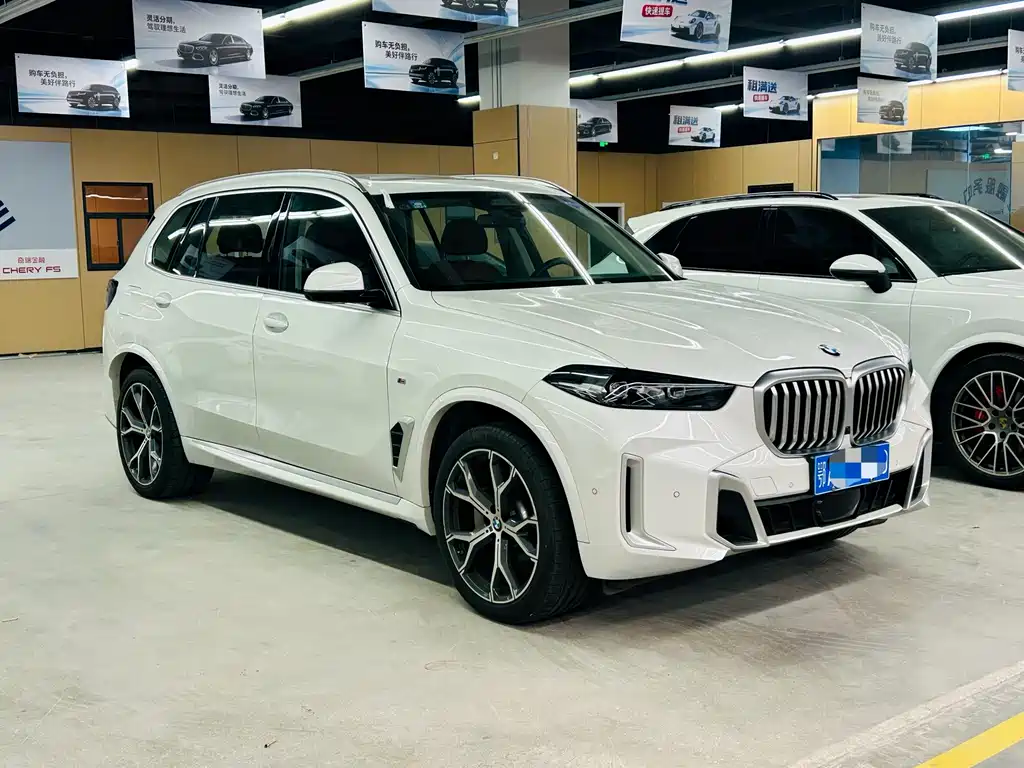 BMW X5 — фото 3