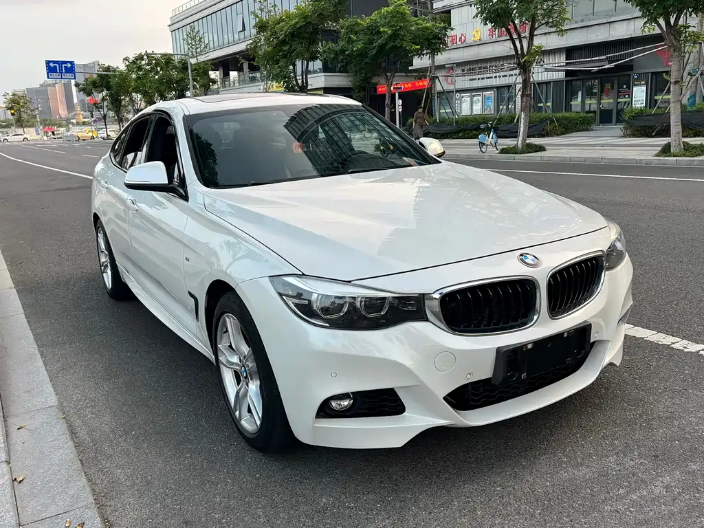 BMW 3 Series GT — фото 3