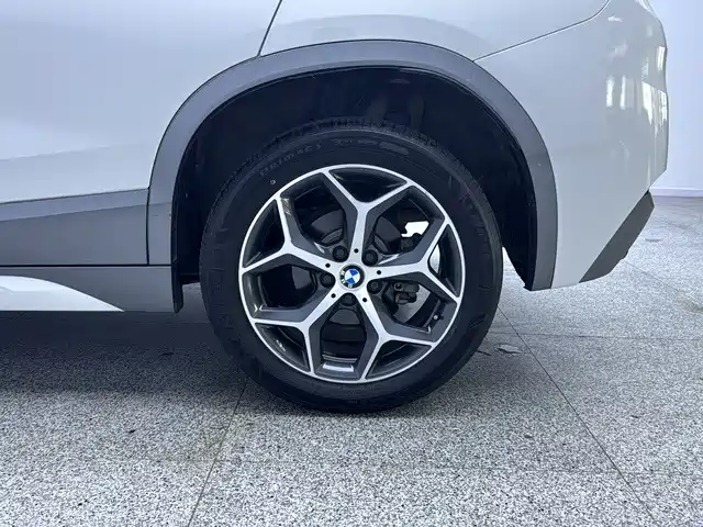 BMW X2 (Import) — фото 19