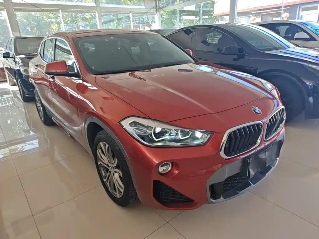 BMW X2 (Import) — фото 4