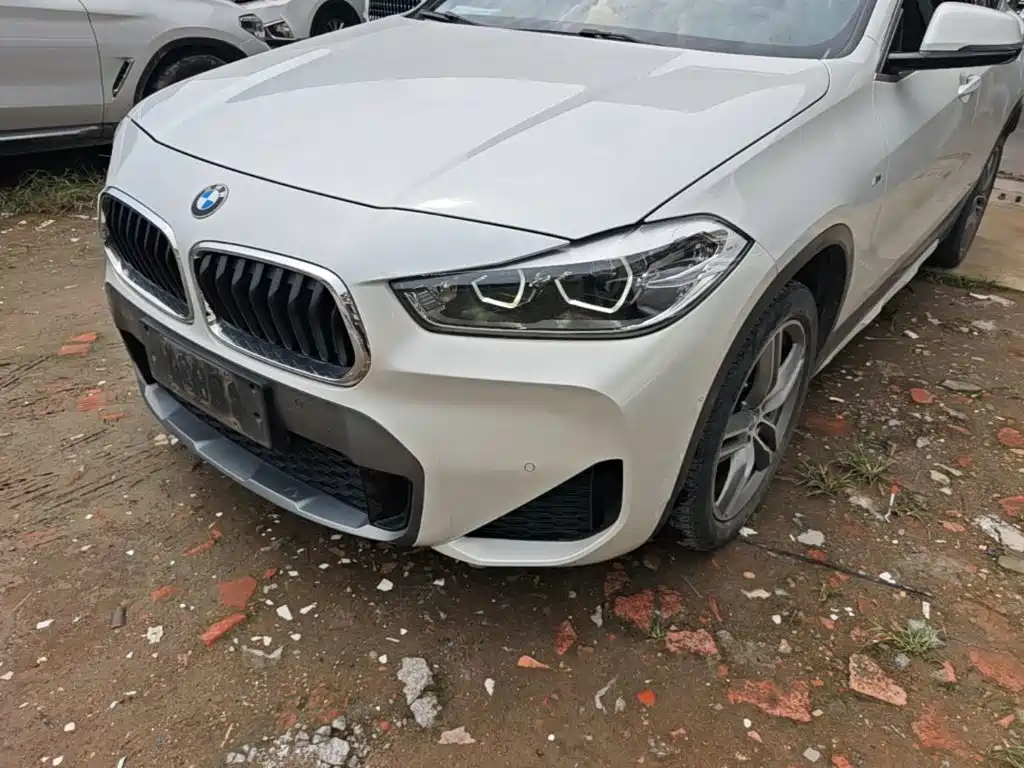 BMW X2 — фото 24