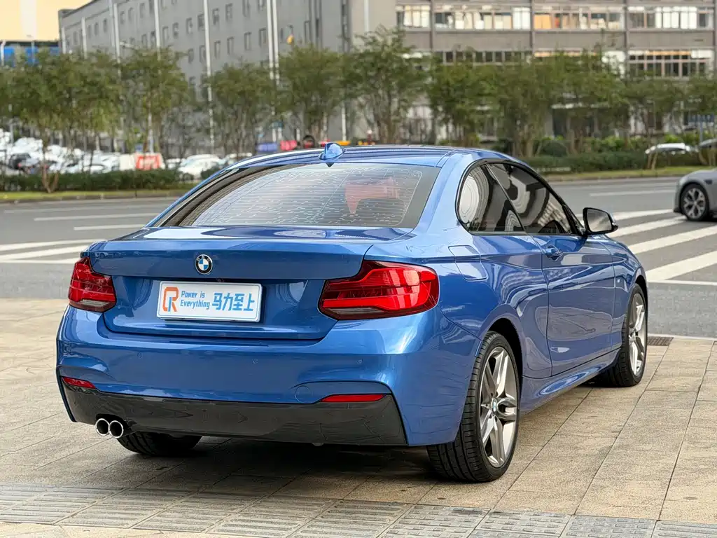 BMW 2 Series (Import) — фото 6