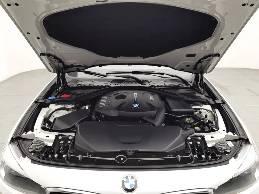 BMW 3 Series GT — фото 6
