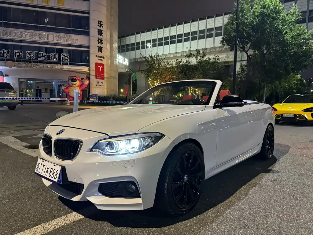 BMW 2 Series (Import) — фото 2