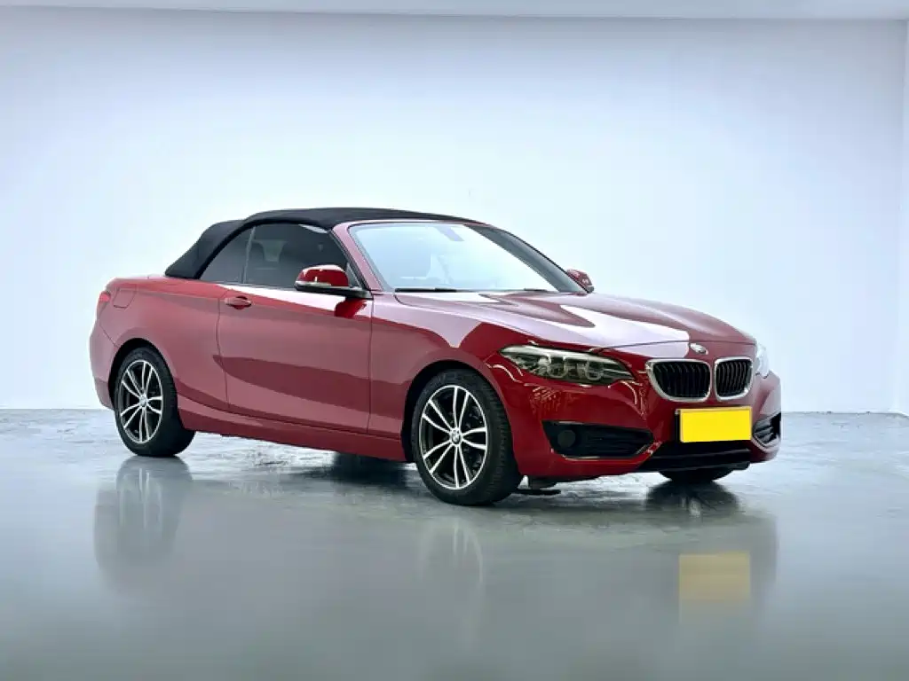 BMW 2 Series (Import) — фото 3