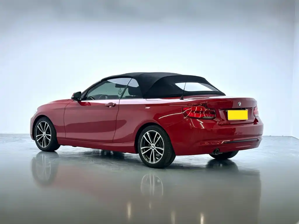BMW 2 Series (Import) — фото 4